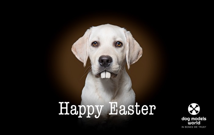 Frohe Ostern & Happy Easter