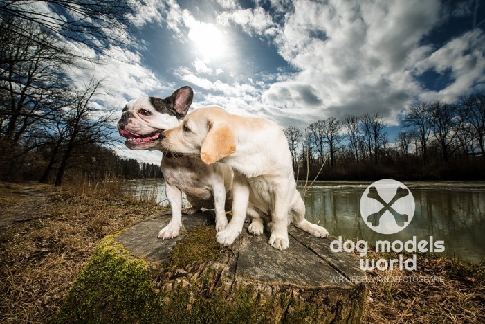 MM0_4895-Bearbeitet-2