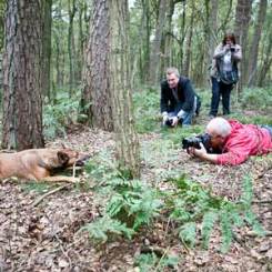 musterbild_fotoworkshop_300x300