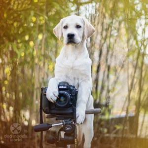 Nikon Deutschland veröffentlicht unser Bild mit Michu und seiner Nikon D4