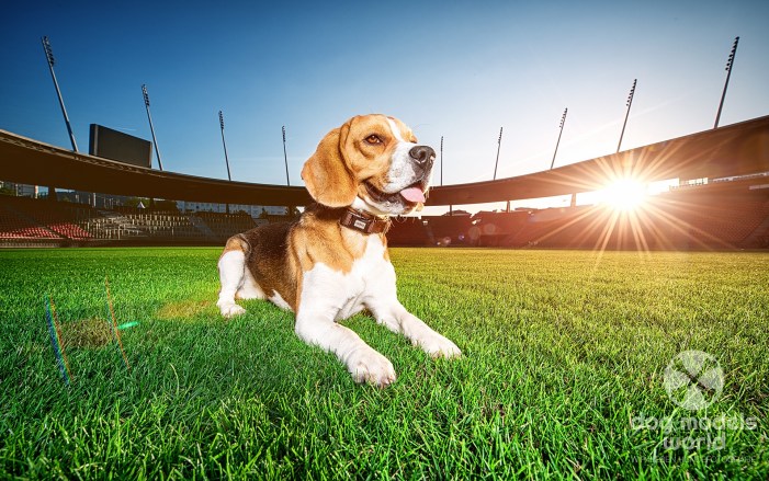 Lord Nelson - Gewinner des 20 Minuten Wettbewerbs