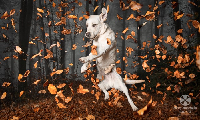 Nutzt die Situation vor Ort und dreht den Spiess um. Wenn kein Sonnenlicht vorhanden ist, macht das beste aus der Situation. 