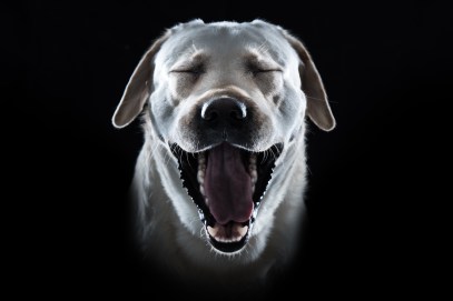 mm0_0314-bearbeitet-2